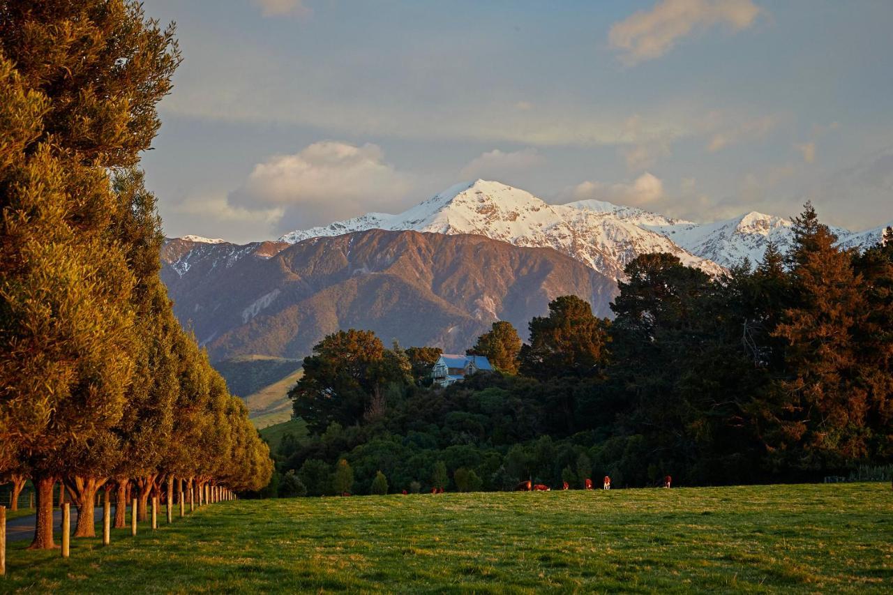 Cubby House Stay Kaikoura Exterior photo